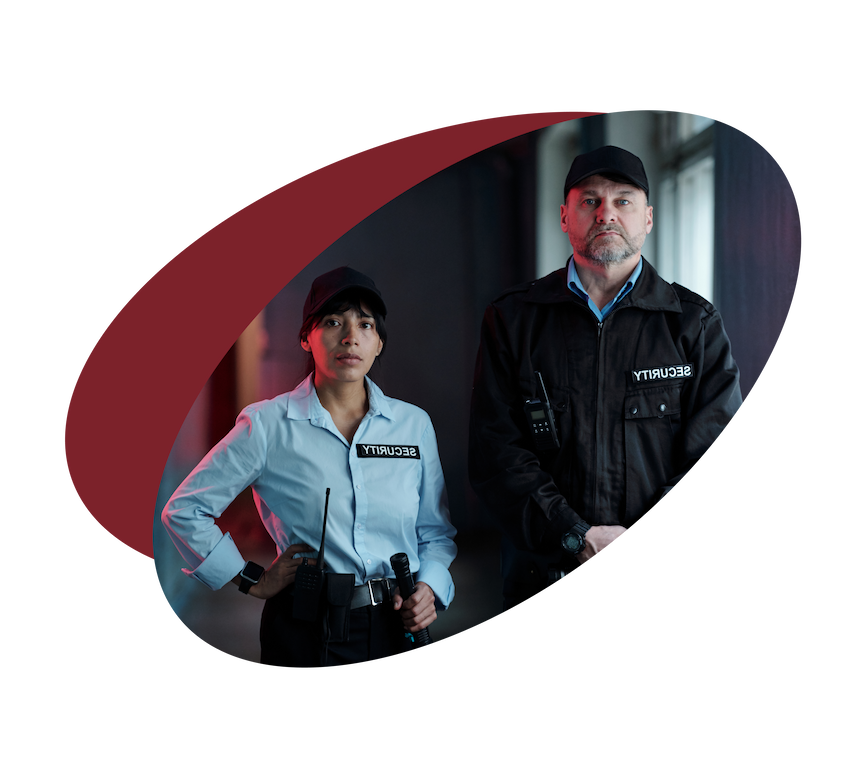 vigilante de seguridad curso online